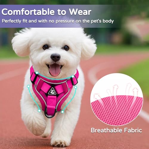 Vest Harness Leash Set for Small Dog Large Cat (Pink / XL)