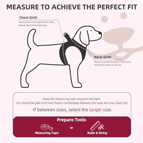 Dog Harness Collar and Leash Set No Pull for Small Medium Sized (Red / S (CHEST 14.5"-16"))
