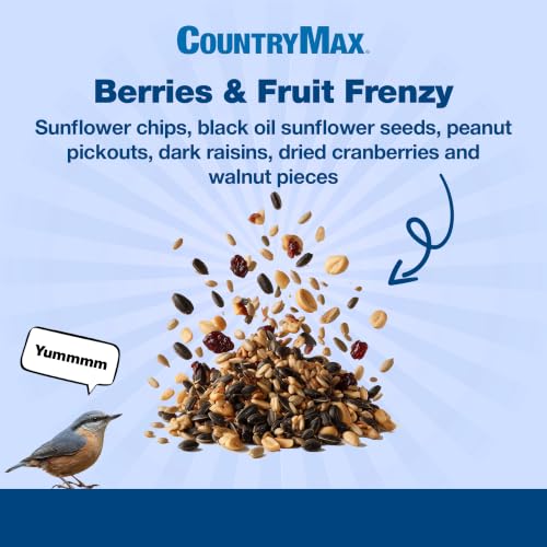 Backyard Seeds 20LB Berries 'N Fruit Bird Seed Mix (Berries & Fruit / 20 Pound (Pack of 1))