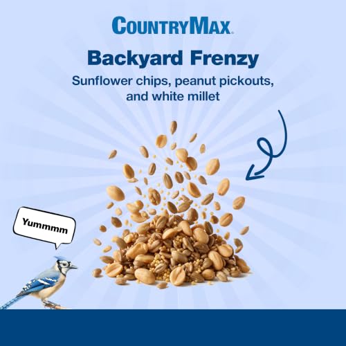 Backyard Seeds 5LB Backyard Frenzy Wild Bird Seed Blend (Backyard Frenzy / 5 Pound (Pack of 1))