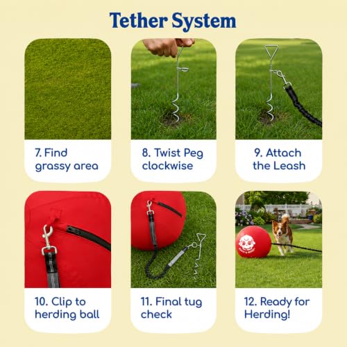 22" Herding Ball for Dogs Tetherball Set Outside (Cherry - 22" Tether Ball / Tether)