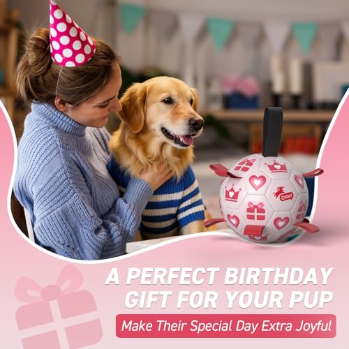 Valentines Gift Dog Toys (Pink / Large Size 3 (8 Inch))