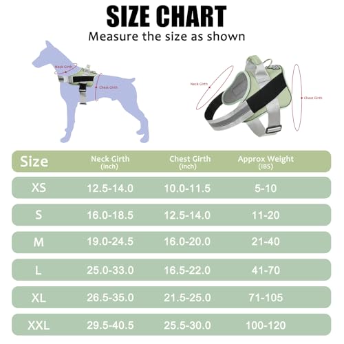 Dog Harness No (X-Small (Pack of 1) / CreamGreen)