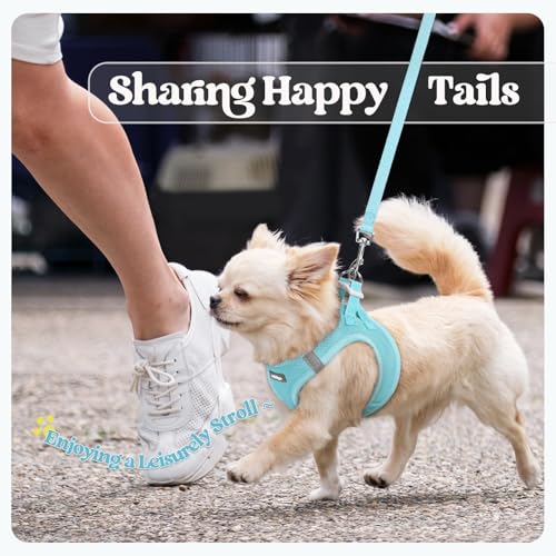 Dog Harness Small Sized and Leash Set (Mint Blue / Xxs (chest: 12.4 - 14.2"))
