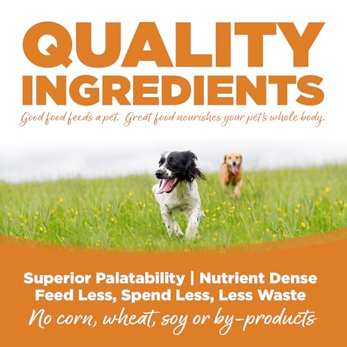 Adult Dry Dog Food (12 Pound (Pack of 1))