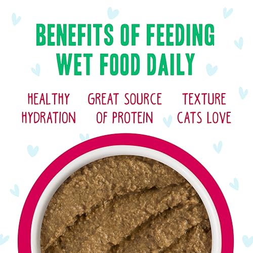 B.F.F. Play Best Feline Friend Paté Lovers (2.8 Ounce (Pack of 12))