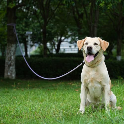 Long Dog Leash (Orange / 30FT*0.4" Single Handle)