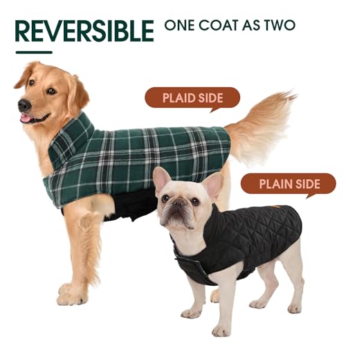 Waterproof Dog Coat (Green / 2X-Large (Pack of 1))