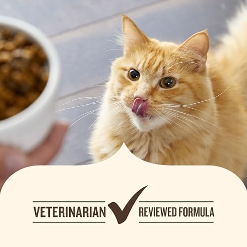 Ocean Lover's Wet Cat Food Variety Pack