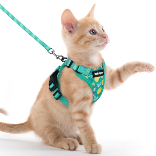 Cat Harness and Leash Set (Xxs / Lemon Grove)