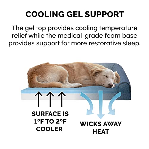 Cooling Gel Dog Bed for Medium (Medium / (Plush & Almond Print) Blue Almonds)