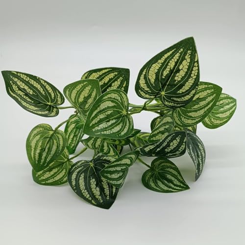 Reptile Plants for Bearded Dragon Tank Accessories (Group Abn)