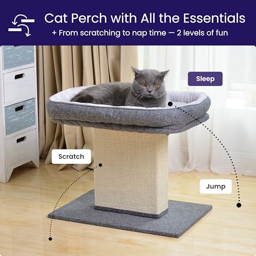 Cat Perch with Washable Replaceable Bed & Wide Sisal Scratching Post