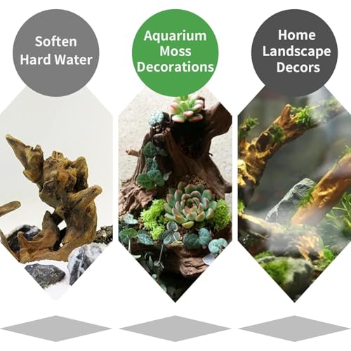 Natural Large Driftwood for Aquarium 12