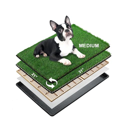 Dog Grass Pee Pads for Dogs with Tray (Medium - 31 x 21 inch)