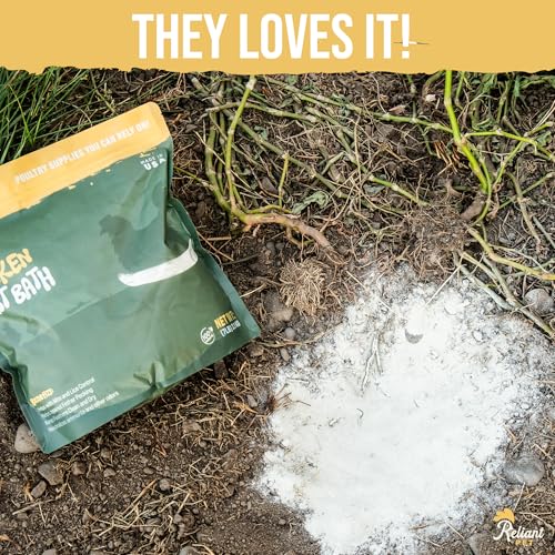 Chicken Dust Bath