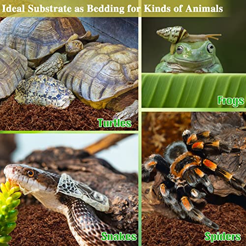 2 Pack Coconut Fiber Substrate (2pcs)