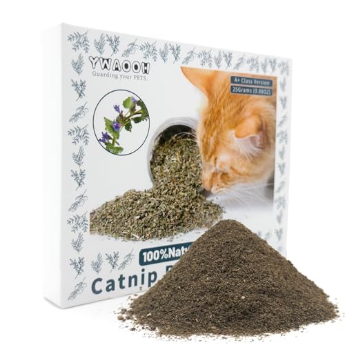 Premium Catnip for Cats & Kittens (25g)