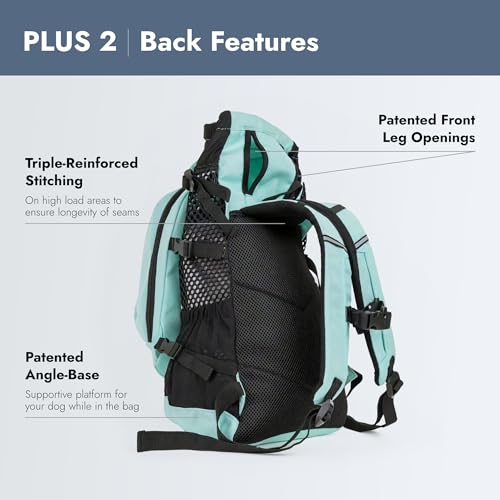 Plus 2 Medium (Summer Mint / Medium)