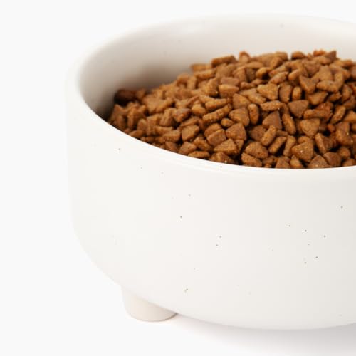 Uplift Elevated Ceramic Dog Bowl (Large / Speckle)