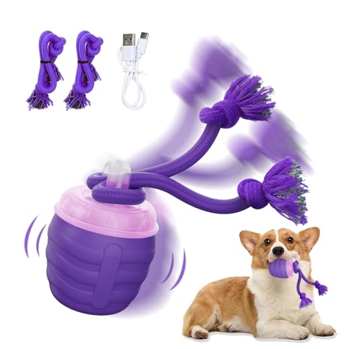 Interactive Dog Toy (Purple / Medium/Large)