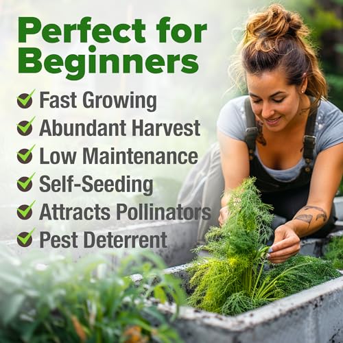 Bouquet Dill Seeds