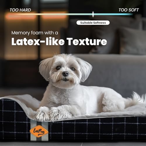 Orthopedic Dog Bed (34.0"L x 22.0"W x 5.5"Th / Black Grid Gray)