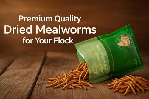 Bulk Dried Mealworms 5Lb Bag (5 Pound (Pack of 1))