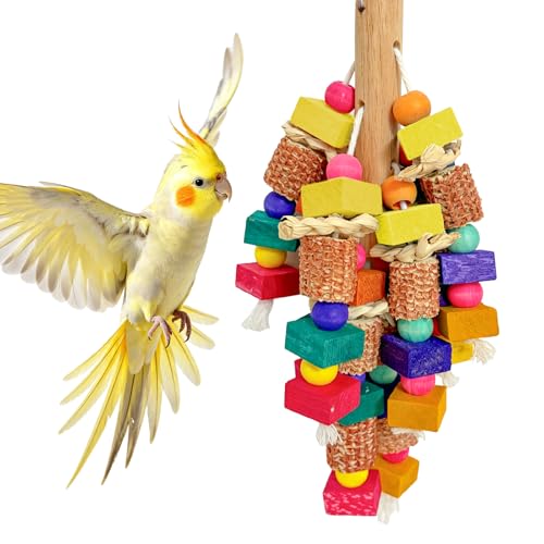 Large Bird Toys for Parrots Toys Natural Colored Wooden Chew Accessories for Macaws (Small Bird Toys)