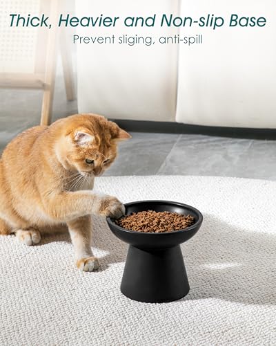 2 Pack Extra Wide Elevated Cat Bowls (Black)