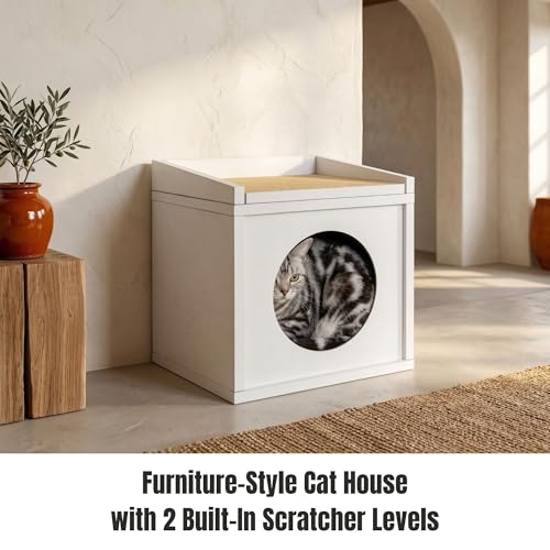 Meowdium Cat House for Indoor Cats (White)