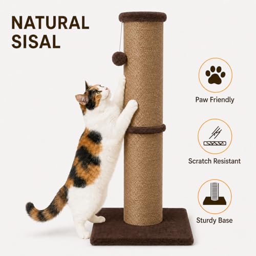 32 Inch Tall Cat Scratching Post (X-Large / Chocolate Brown)