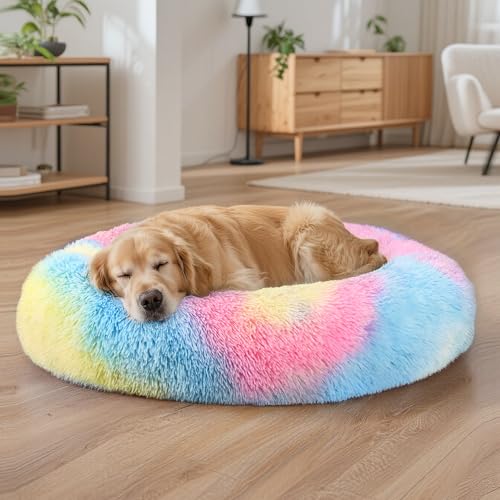 Dog Beds Large Sized Dog and Cats (Rainbow / 32.0"L x 32.0"W x 8.0"Th)