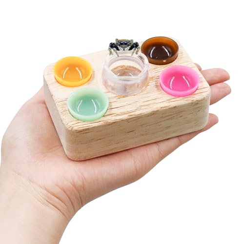 Jumping Spider Accessories