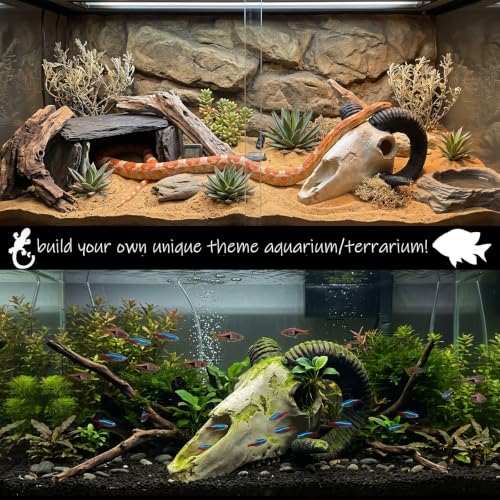 Fish Aquarium Tank Hideout Décor Decorations Dinosaur Skull Fish Tank Decor Cave Skull Betta Animal Halloween Large Reptile Bones Snake for Terrarium Ornament (Horned Sheep)