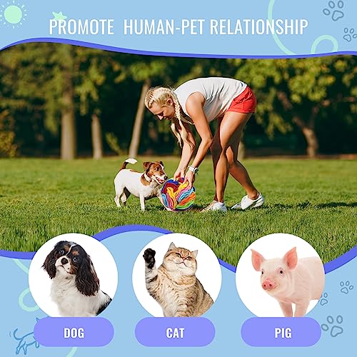 Pet Snuffle Ball (Rainbow color upgrade / 10cm)