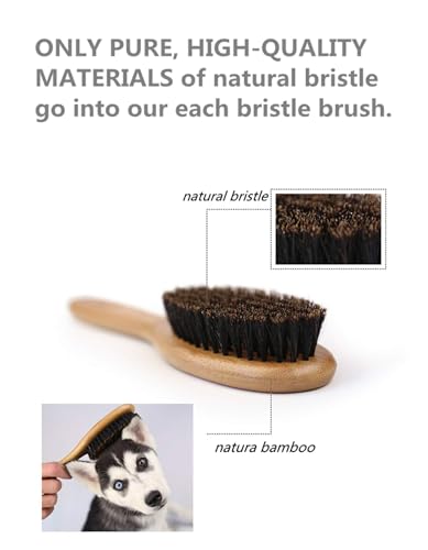 Pet Grooming Brush with Boar Bristles