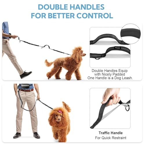 Hands Free Dog Leash for Two Dogs Walking (Black/Silver Gray / Large)