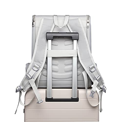 Innovative Traveler Bubble Backpack Pet Carriers for Cats and Dogs (Light Grey)