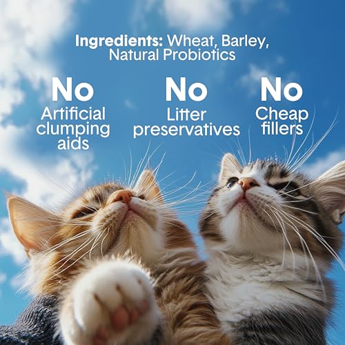 Boxie Extra Strength Lightweight Multi Cat Litter 35+ Day Odor Control (2 MONTH (11.5 LB))
