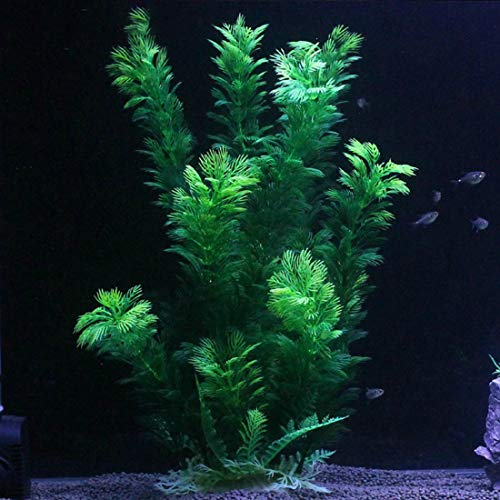 Aquarium Plants Plastic Decor Fish Tank Green Decorations Plants Ornament Safe for All Fish (Green（style A）)