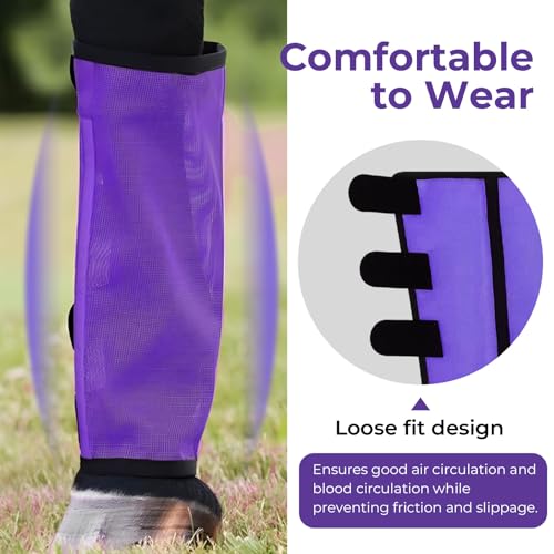 Mesh Horse Fly Boots Set of 4 (Purple)