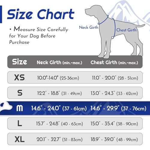 Dog Harness for Medium Sized Dogs (Medium / Blue & Orange)
