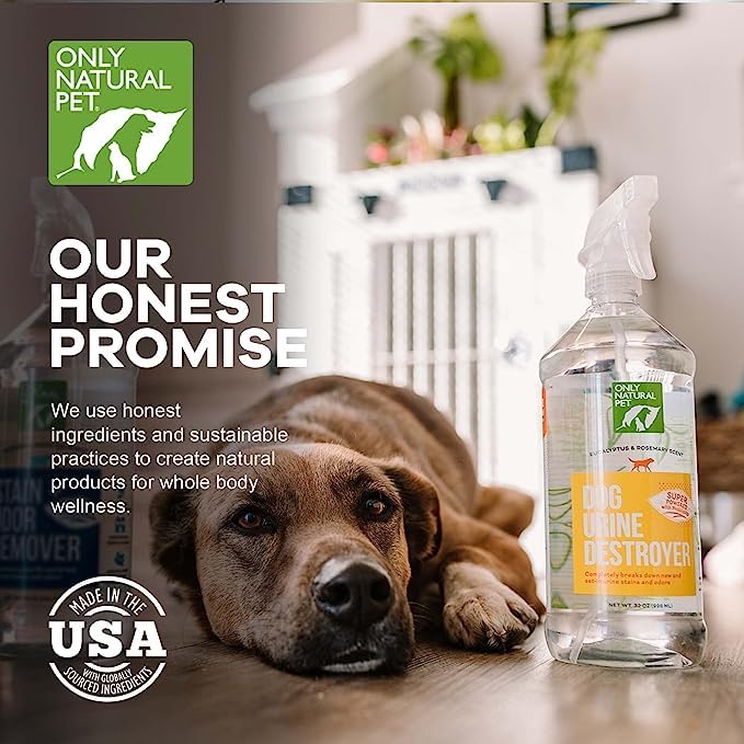 Enzyme Powered Stain & Odor Eliminator (32 Fl Oz (Pack of 2))