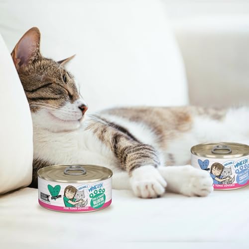 BFF Minced Natural Wet Cat Food (10 Ounce (Pack of 12))
