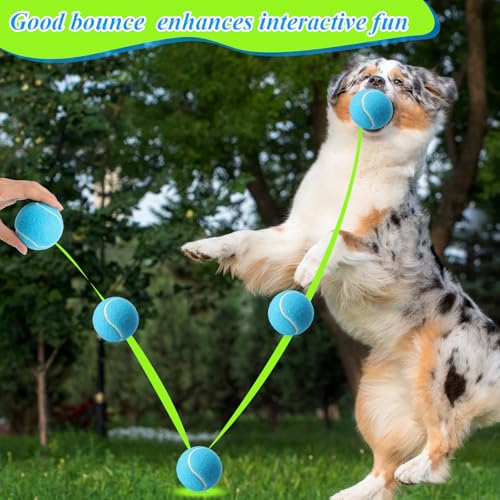 100 Pcs 2.5 Inch Squeaky Tennis Balls Bulk for Dogs Bouncy Floatable Tennis Balls Dog Playing Supplies Training Interactive Fetch Toys Indoor and Outdoor for Small Medium Puppy (Multicolor)
