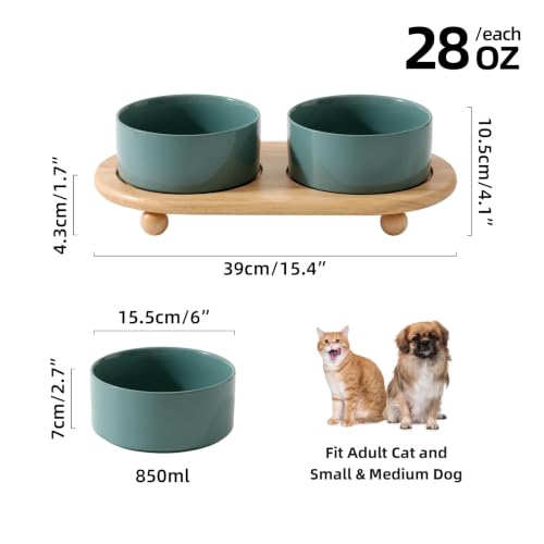Raised Cat Bowl (Dark Green)