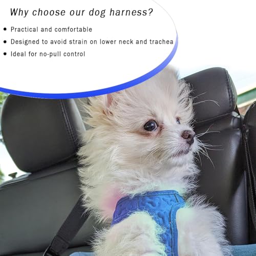 Comfort Fit Dog Harness Step in No Pull Harness for Medium Small Sized Dogs Soft Padded No Escape Harness Adjustable Easy Buckle with Leash Attachment D (S (Chest 14.5"-17") / Blue Plush)