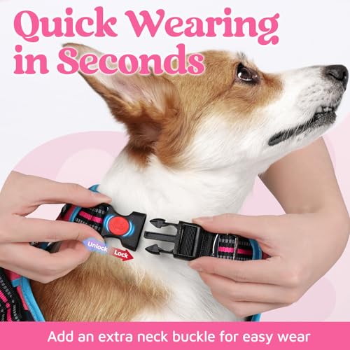 Dog Harness for Large (Pink & Blue / X-Large)