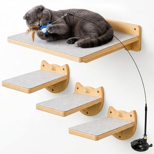 Cat Wall Shelves & Climbing System